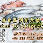 广东佛山预制菜出口新加坡，冷冻食品海运冷链到新加坡Singapore