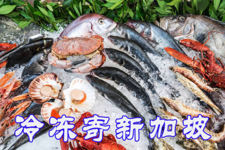 冷冻美食轻松寄新加坡，海运拼箱冷链负18度出口-优质冷链