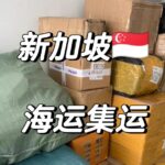 第一次海运家具到新加坡如何省钱？如何避坑？-DJCARGO