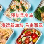 预制菜、冷冻食品、海鲜肉类海运冷链拼箱—新加坡马来西亚