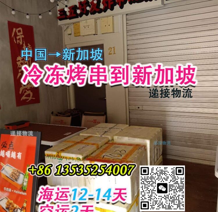 国内食品寄新加坡Singapore—冷冻烤串—海运/空运快至2天