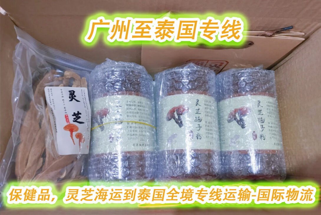 （广州至泰国专线）保健品，灵芝海运到泰国全境专线运输-国际物流