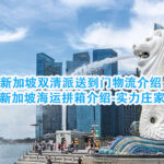 新加坡双清派送到门物流介绍 新加坡海运拼箱介绍-实力庄家