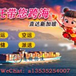 哪吒闹海般的效率：快捷、安全地将您的货物从中国运往新加坡