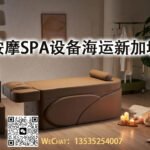从中国采购至新加坡：轻松海运按摩SPA设备全攻略