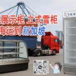 新加坡新开蛋糕店：如何从广州采购蛋糕展示柜和立式雪柜海运到SG