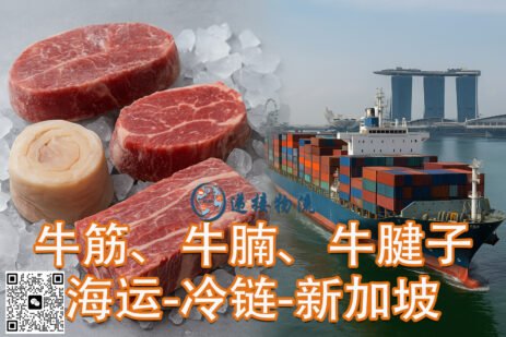 中国冷冻食品牛筋、牛腩、牛腱子海运-冷链-新加坡