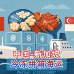 专业冷冻拼箱海运服务→从中国到新加坡的安心食品运输解决方案
