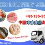 轻松搞定冷冻运输：中国至新加坡的专业冷链门到门服务