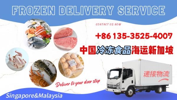 轻松搞定冷冻运输：中国至新加坡的专业冷链门到门服务