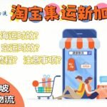 淘宝购物狂欢？轻松解决新加坡集运难题，10-12天送货上门！